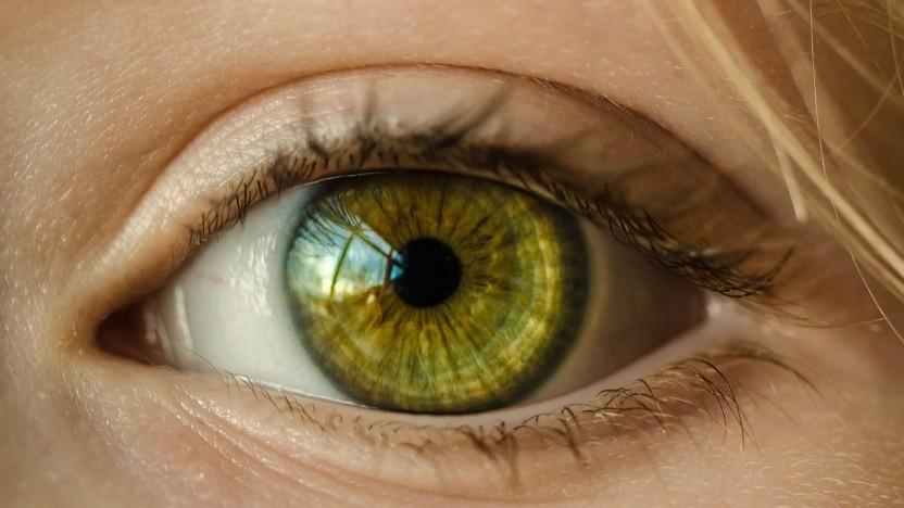 IT-Arbeit: Was fürs Auge - Golem Karrierewelt
