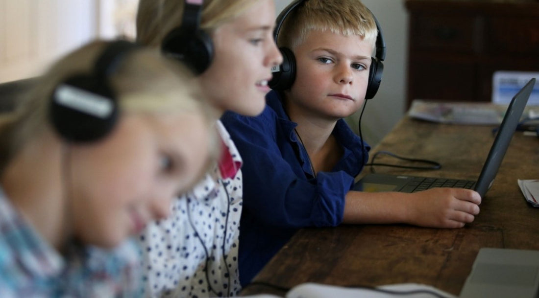 Schwachstelle in Lern-Software Moodle - Golem Karrierewelt