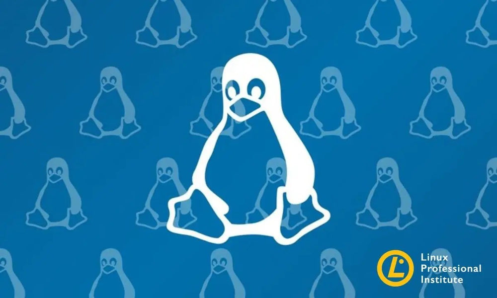 LPIC-1 Vorbereitungkurs LPI 101 und 102: virtueller Fünf-Tage-Workshop - Golem Karrierewelt