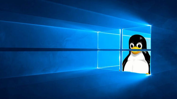Windows-Subsystem for Linux für Systemadministratoren (E-Learning) - Golem Karrierewelt