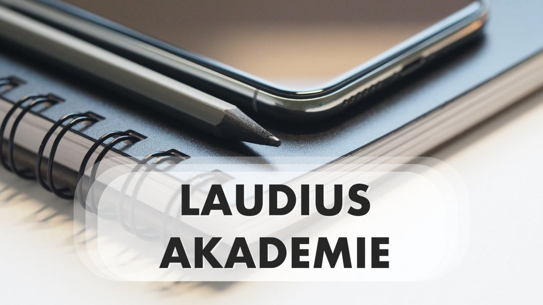 Fernstudienanbieter für IT-Ausbildungen: Laudius Akademie (6/10) - Golem Karrierewelt