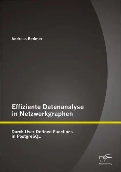 Effiziente Datenanalyse in Netzwerkgraphen: Durch User Defined Functions in PostgreSQL