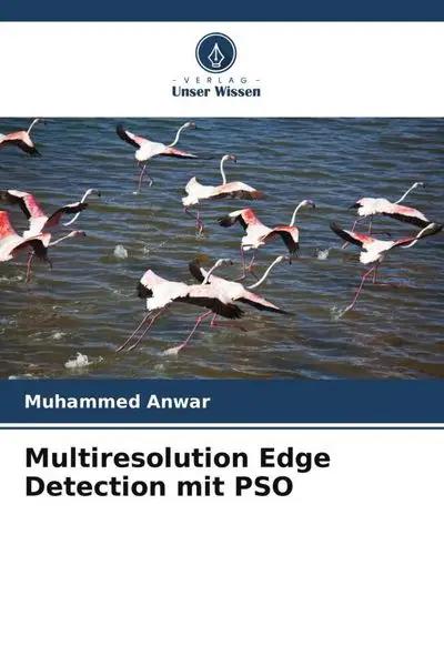 Multiresolution Edge Detection mit PSO