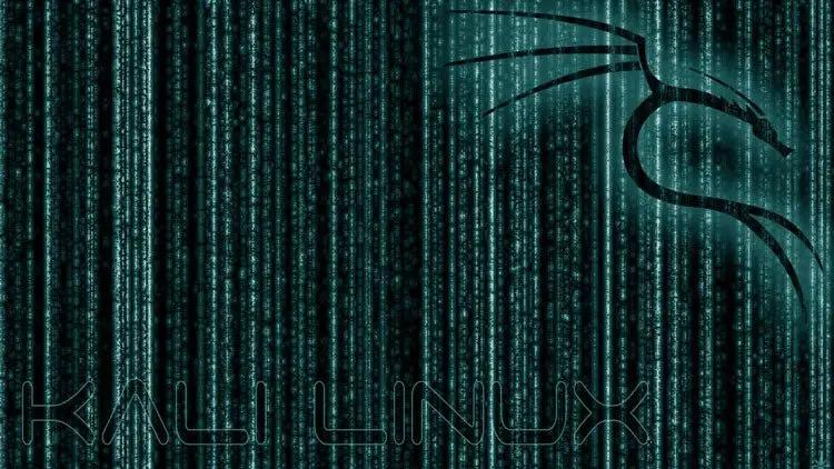 IT Sicherheitstests und Ethical Hacking mit Kali Linux (E-Learning) - Golem Karrierewelt