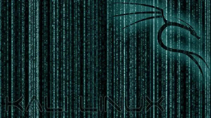 IT Sicherheitstests und Ethical Hacking mit Kali Linux (E-Learning)