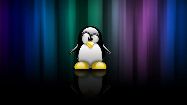 Linux Administration: System Management (E-Learning) - Golem Karrierewelt