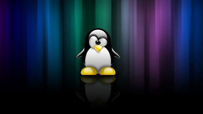 Linux Administration: System Management (E-Learning)