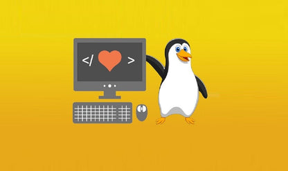 Linux-Befehlszeile für Anfänger:innen - Der Einstieg in die Welt der Linux-Befehlszeile (E-Learning)