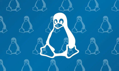 Linux für angehende Server System Engineers (E-Learning)