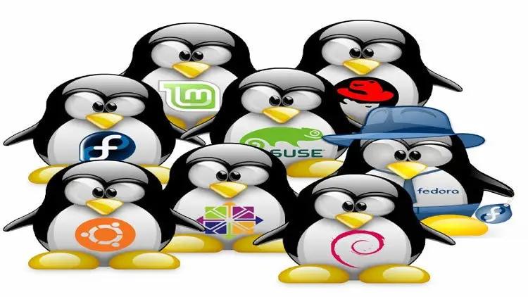 Linux für Junior System Administratoren (E-Learning) - Golem Karrierewelt