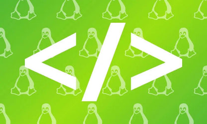 Linux-Shellprogrammierung: virtueller Vier-Tage-Workshop