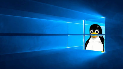 Windows-Subsystem for Linux für Systemadministratoren (E-Learning)